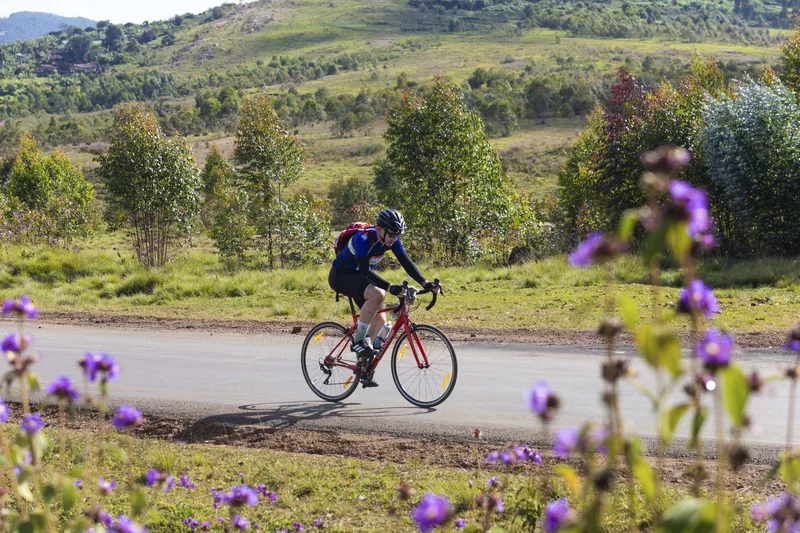 A rider passing behind a foreground of purple thistles