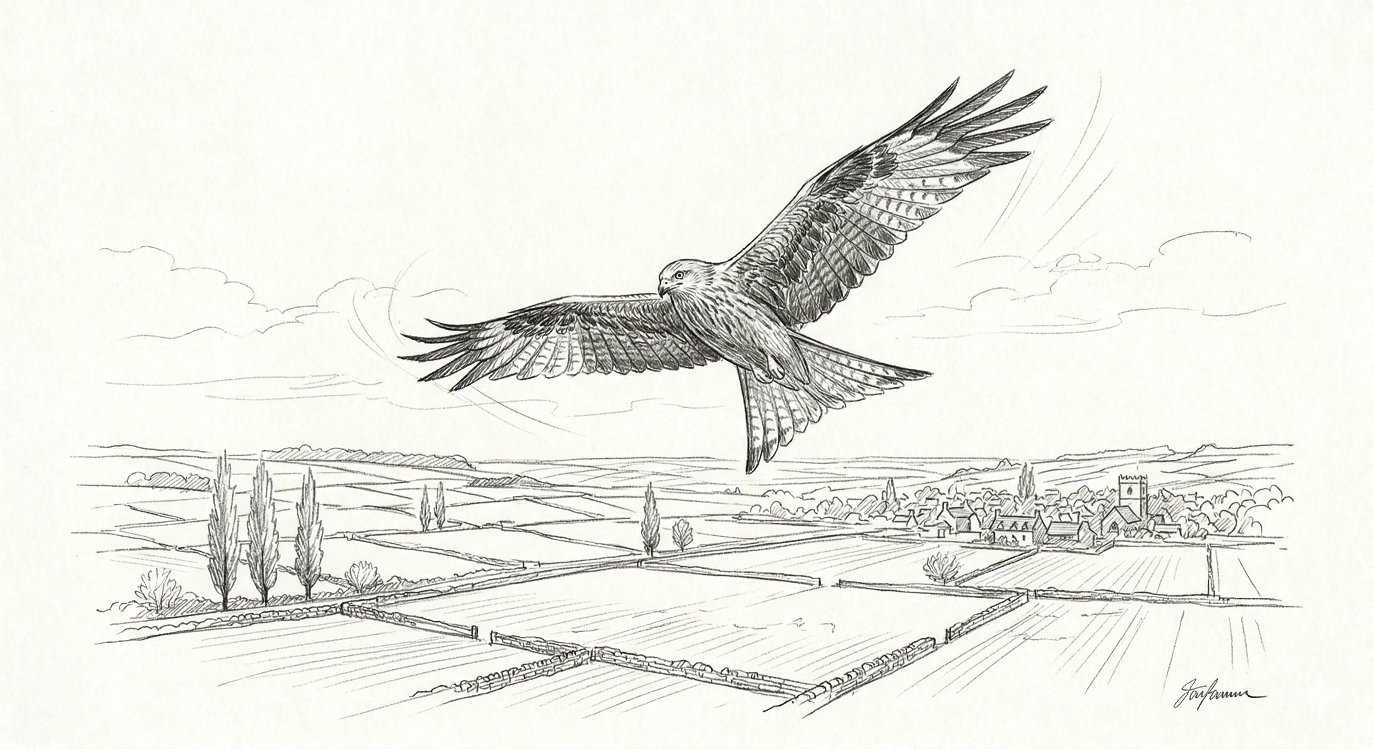 Pencil sketch of a red kite soaring over patchwork fields, forked tail and spread wings visible against the sky